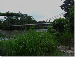 6 Year Bridge