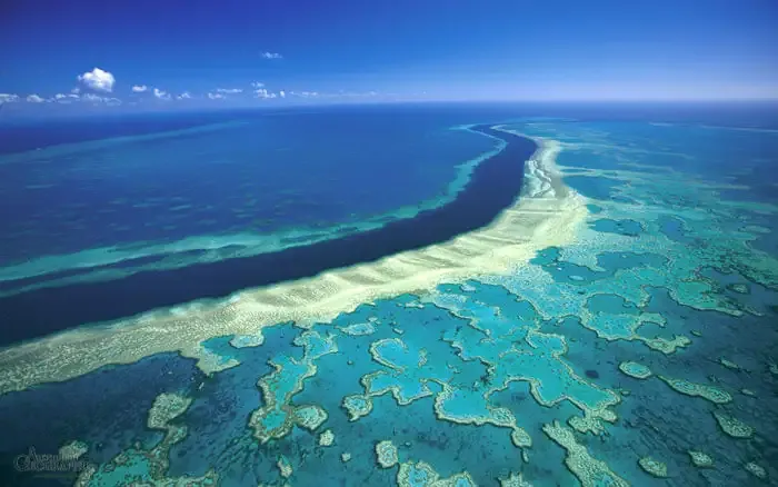 The Great Barrier Reef – An Underwater Treasure