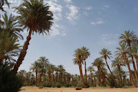 voyage dans le désert du Maroc