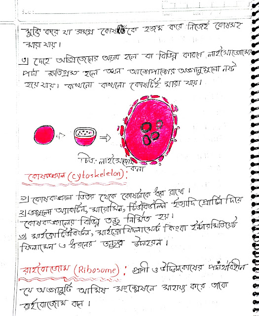 SSC Biology Chapter 2 Hand Note