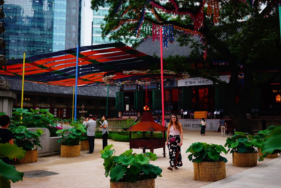 Lotus flower festival in Jogyesa buddhist temple in Seoul