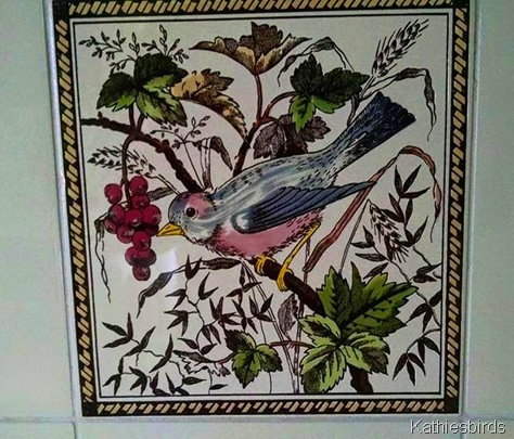 6. 5-3-15 bird tile