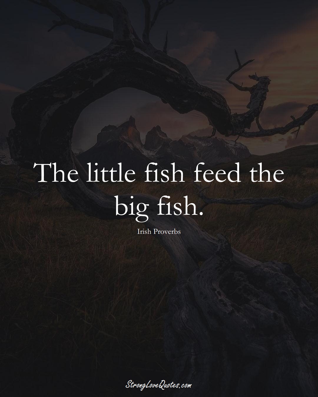 The little fish feed the big fish. (Irish Sayings);  #EuropeanSayings