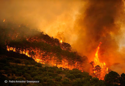 Reproducciones de incendios