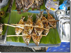 DSCN2773
