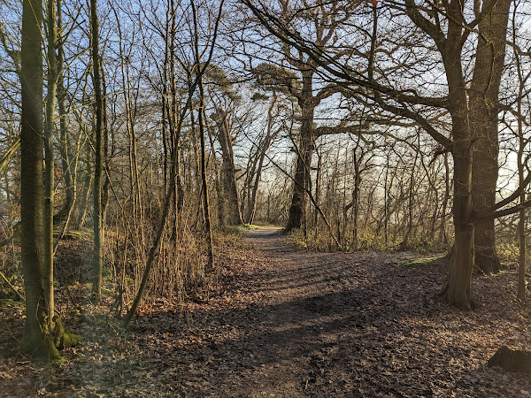A wooded part of the route