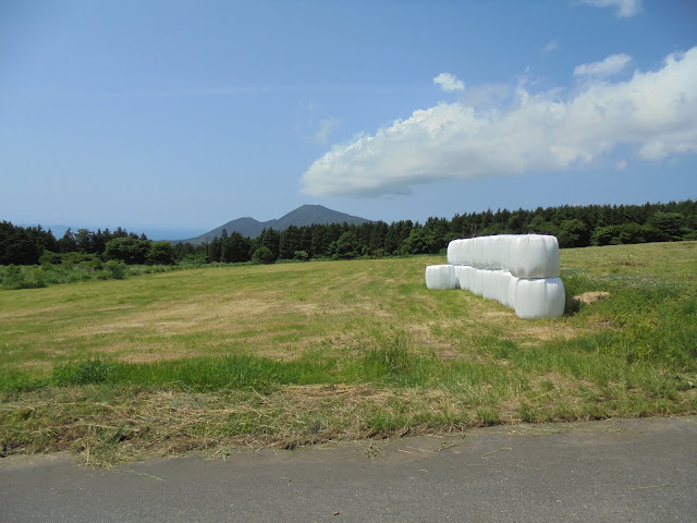 牧草地を登る