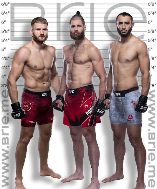 Jiří Procházka standing with Jan Blachowicz and Dominick Reyes