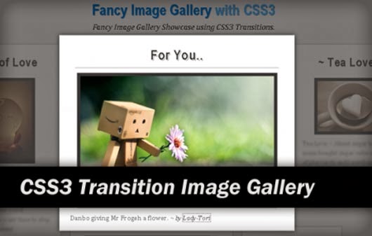 CSS3 Animation and Transition Tutorials