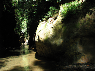 Rio Viejo, Puriscal