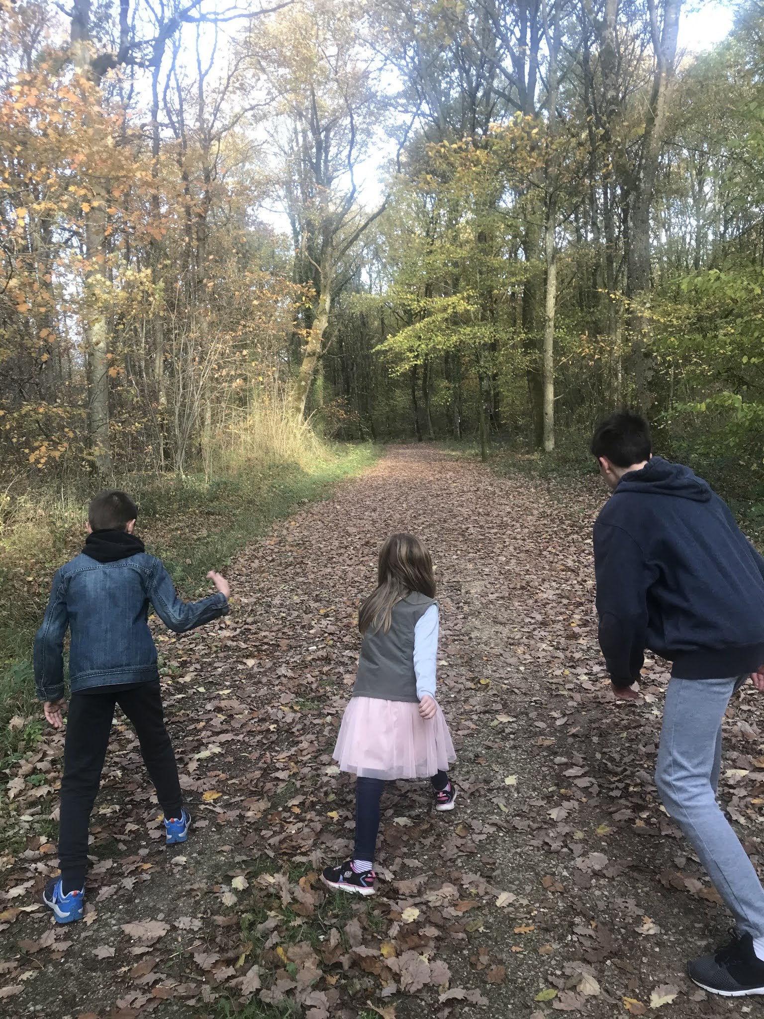 balade en foret