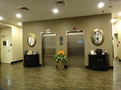 083dev-DSC02420