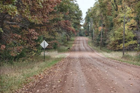 photo of whitetail doe (distant)