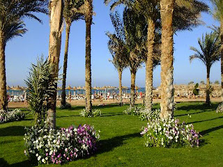 Property for sale in Makadi Resort Hurghada Red Sea