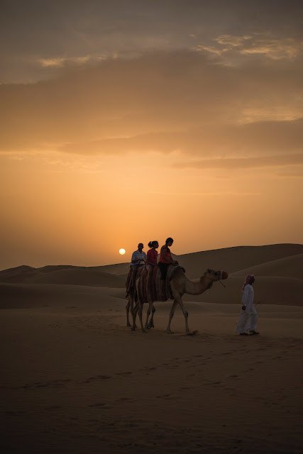 Adventures in the Dubai Desert