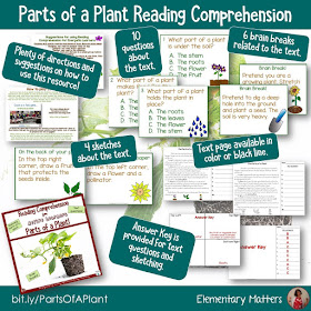 https://www.teacherspayteachers.com/Product/Parts-of-a-Plant-for-Active-Learners-2552972?utm_source=blog%20post%20on%20active%20students%20&utm_campaign=Parts%20of%20a%20Plant