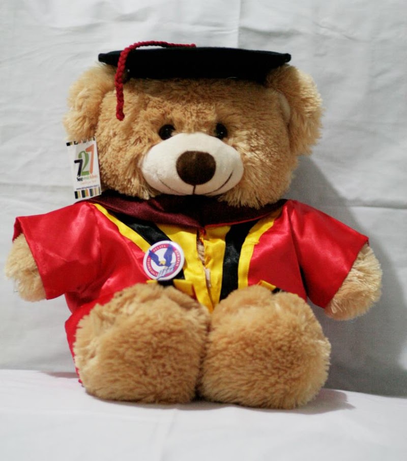 Terbaru 50+ Boneka Teddy Bear Di Tangerang