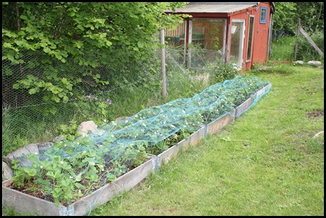 Bild 003