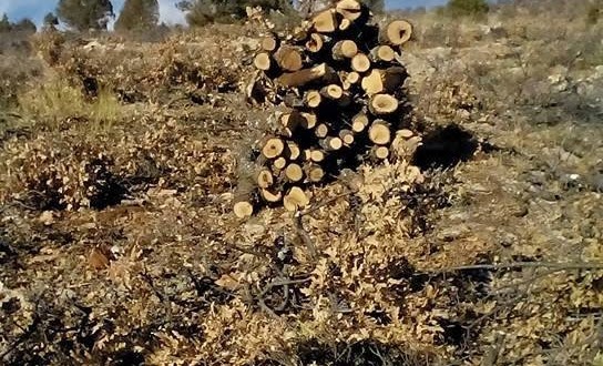 Armutlu Köyü Sakinlerine Odun Veriliyor.