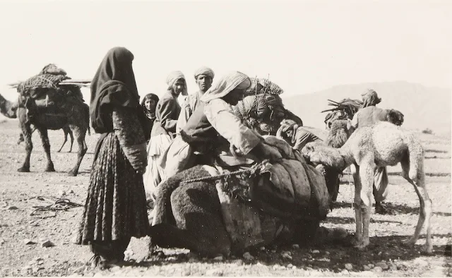 Pashtun Kochi nomads loading their camels in 1940