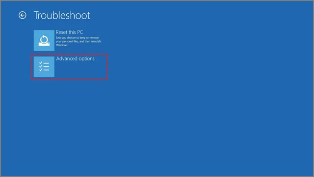 Windows 10 Advanced Option Menu