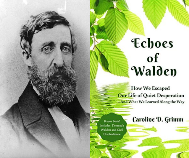 Echoes of Walden by Caroline D Grimm