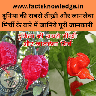 Amazing facts in Hindi | रोचक तथ्य
