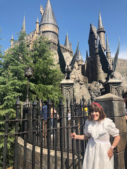 The Wizarding World of Harry Potter Universal Studios Japan