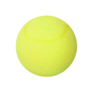 Dunlop Volley 3Pet Tennis Ball
