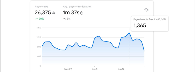 O relatório começa com uma “Visão geral” do seu site, destacando as páginas de alto desempenho.