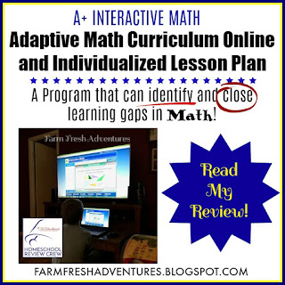 A+ Interactive Math~ A Review