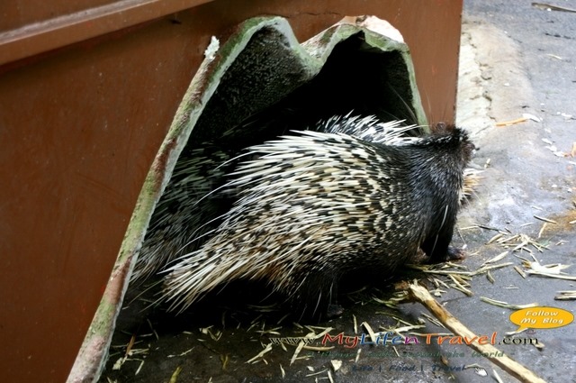 Langkawi Wildlife Park