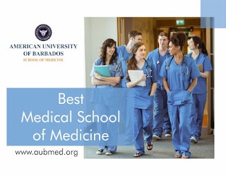 Top Schools to Study Medicine