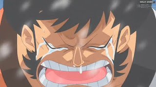 ワンピースアニメ パンクハザード編 598話 錦えもん | ONE PIECE Episode 598