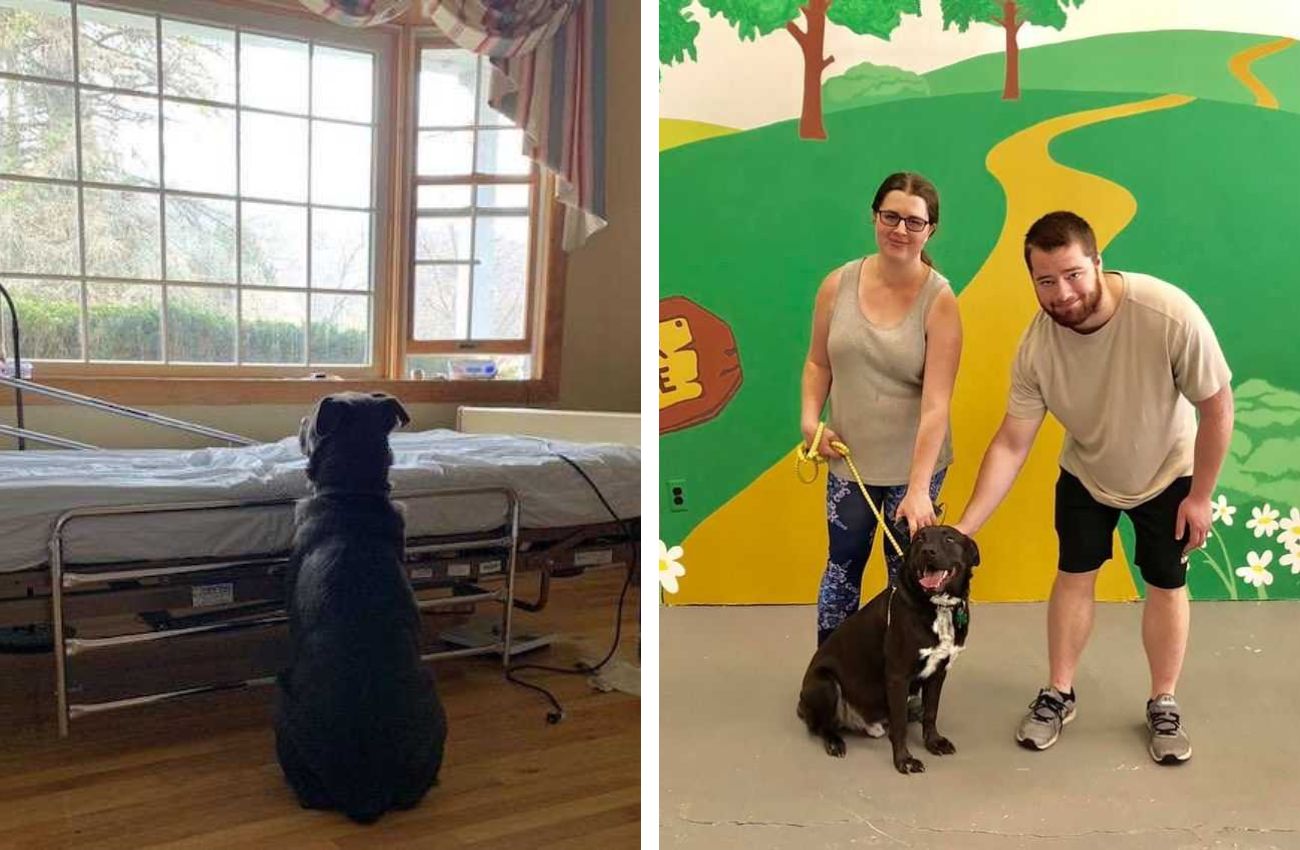 Cachorro que esperou pelo dono falecido em leito de hospital vazio encontra nova família