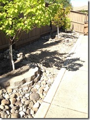1B Remove rocks