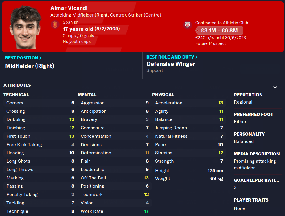 FM23 Aimar Vicandi