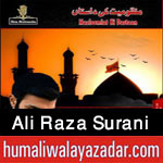 http://www.humaliwalayazadar.com/2015/10/ali-raza-surani-nohay-2016.html
