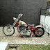 JURAGAN MOGE BEKAS : Jual Moge Harley Softail 1450 - BOGOR