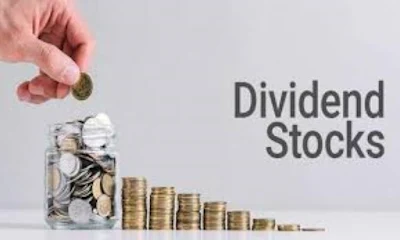 Pt 7 Using Screener.in: Discovering High-Dividend Stocks