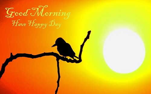 70+ Good Morning SMS, Wishes, Quotes And Gif Images HD Download70+ Good Morning SMS, Wishes, Quotes And Gif Images HD Download