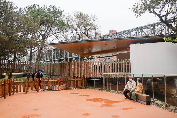 新竹市立動物園藏隱在市區小而美的森林動物園，有老虎河馬熊猴子