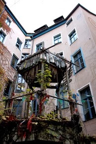 IMG_1106