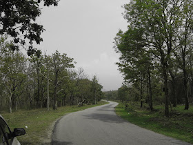 Roads inside Bandipur forest 