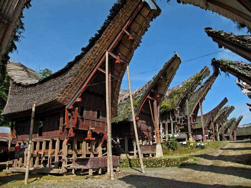 Tongkonan Torajan traditional House Indonesian Cultures