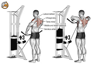 Best Shoulder Workout Routine To Build Size And Strength