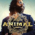 Animal 2023 Movie Download In Hindi 4K 1080p 720p