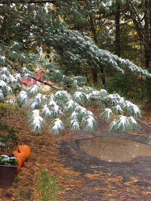 October 14, 2018 snow shower