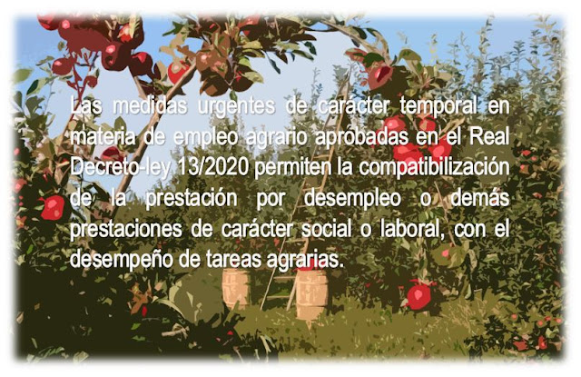 Decreto-ley 13/2020