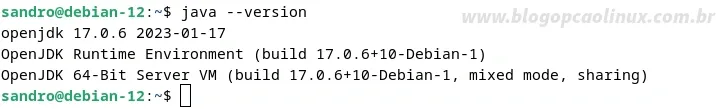 Verificando a versão do Java instalada pelo terminal